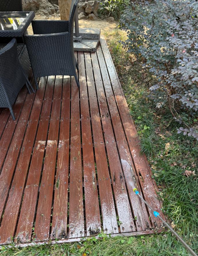 别墅庭院白蚁防治